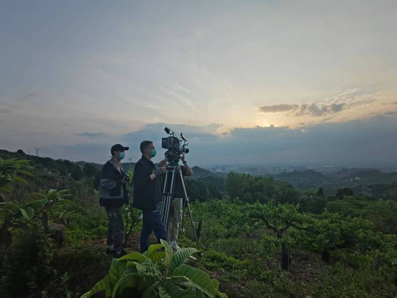 创意破圈！花都区电商产品宣传视频用故事化叙事引爆流量