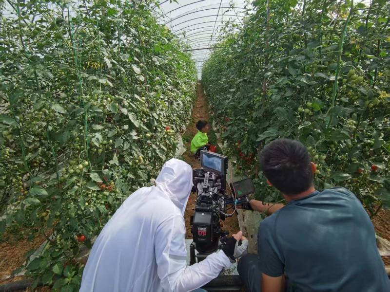 花都区产品宣传视频拍摄公司进阶指南，助力品牌抢占传播高地